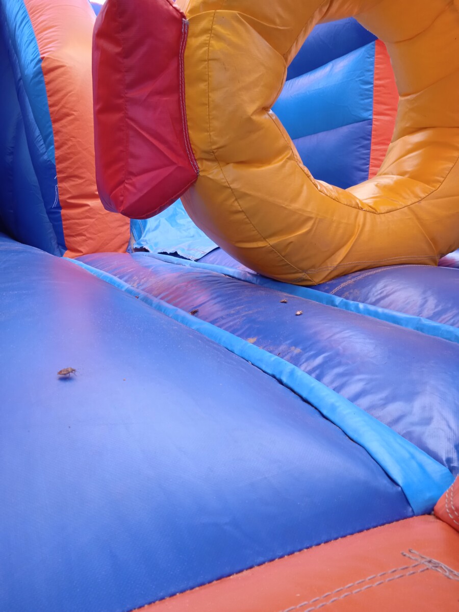 Szezonzáró Afterparty